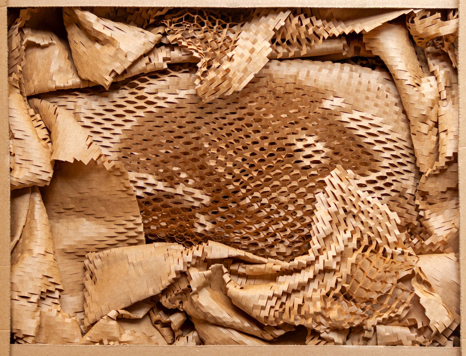 SGS_Packaging_Honeycomb Cushion Wrapping Paper Protection small.jpg